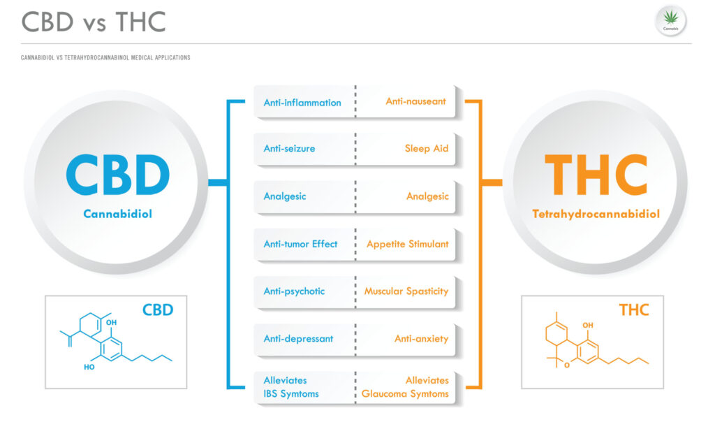 CBD vs THC